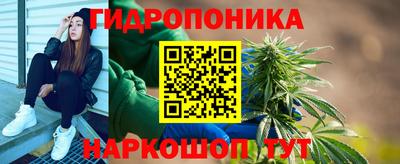 сатива Кинель