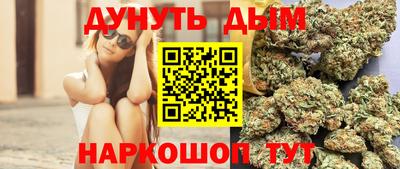 сатива Кинель