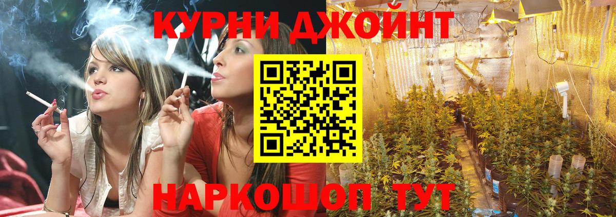 Марихуана ГИДРОПОН  Вход с VPN  Каннабис индика  Марихуана гибрид  Краснокамск  Конопля конопля 